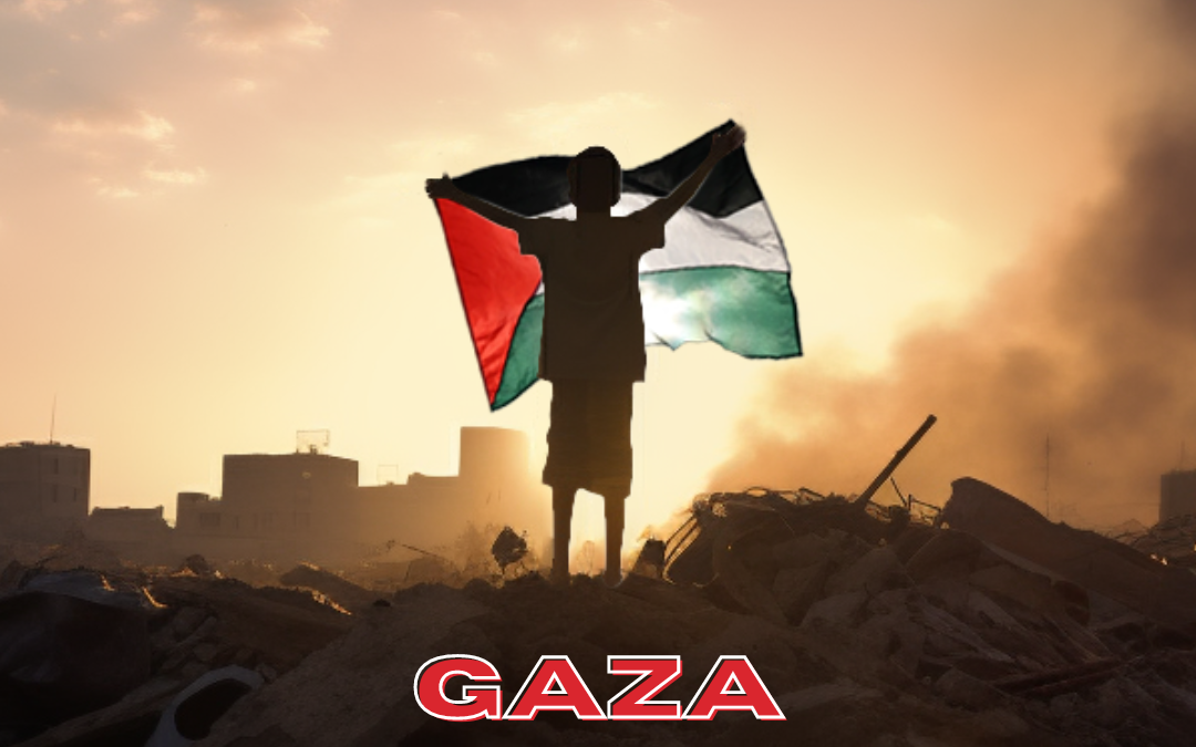 Gaza Weekly Webinars: Resources, Action Alerts and Reminders