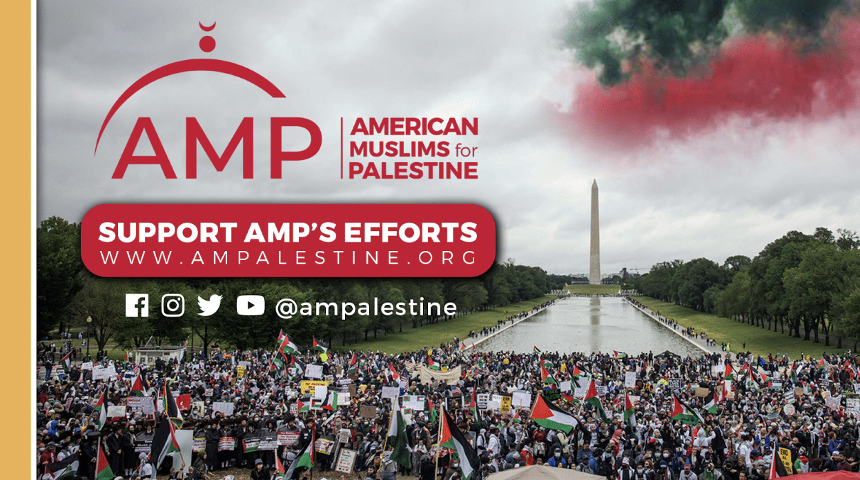 AMP Palestine Support