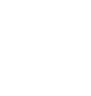 MAS Logo
