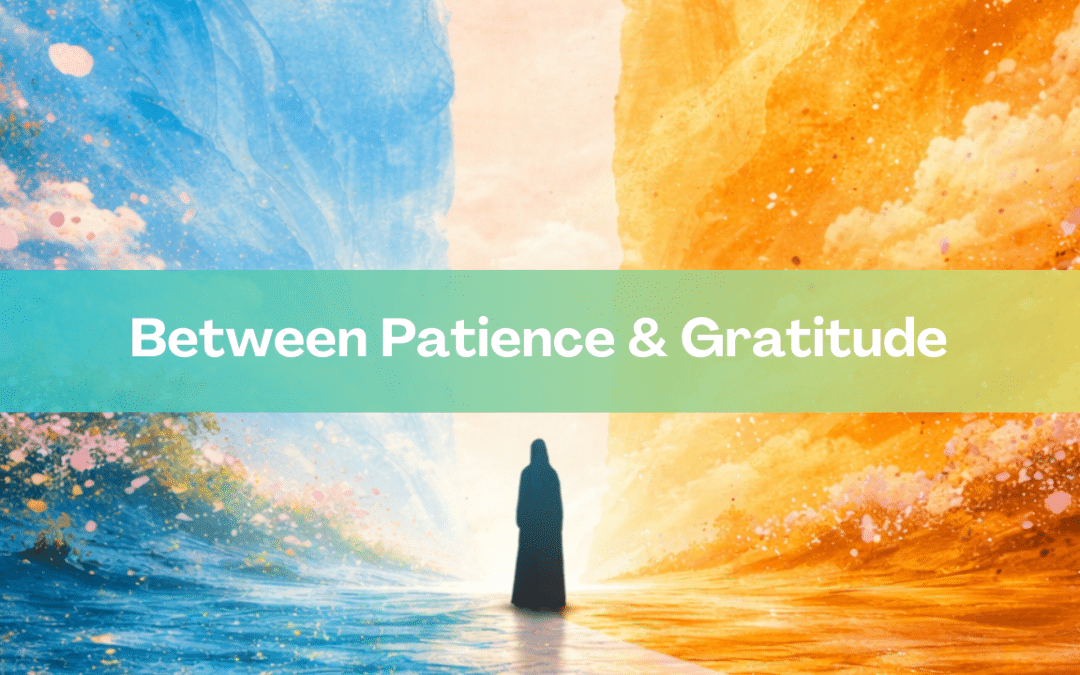 Between Patience & Gratitude