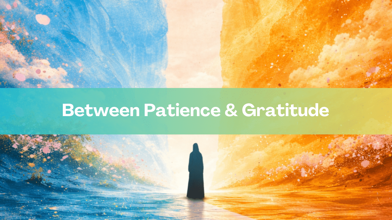 Between Patience & Gratitude